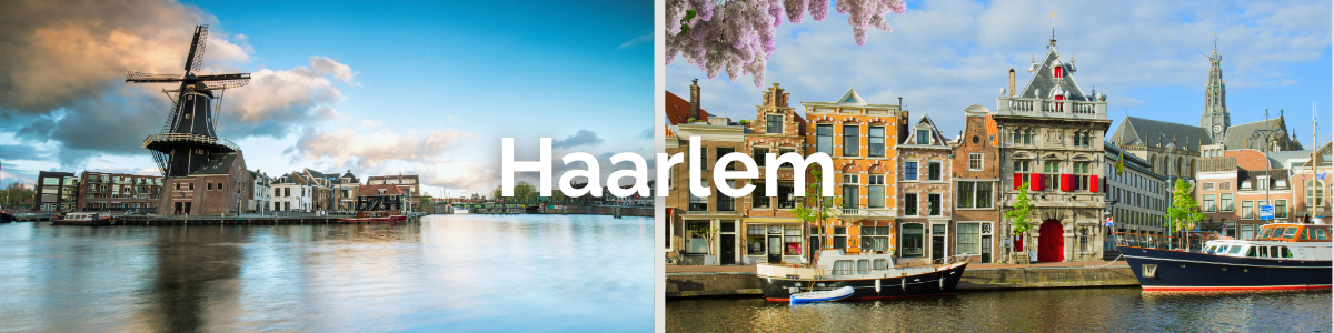 Header van Haarlem met de tekst Haarlem - Rolbakkie